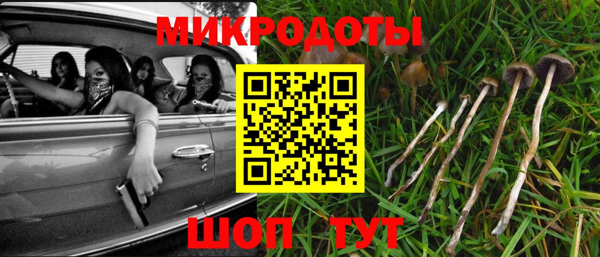 Псилоцибиновые грибы мицелий Ноябрьск