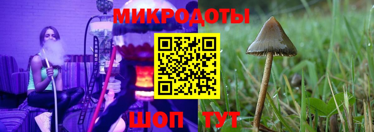Псилоцибиновые грибы MAGIC MUSHROOMS  Вход с VPN  Ноябрьск 